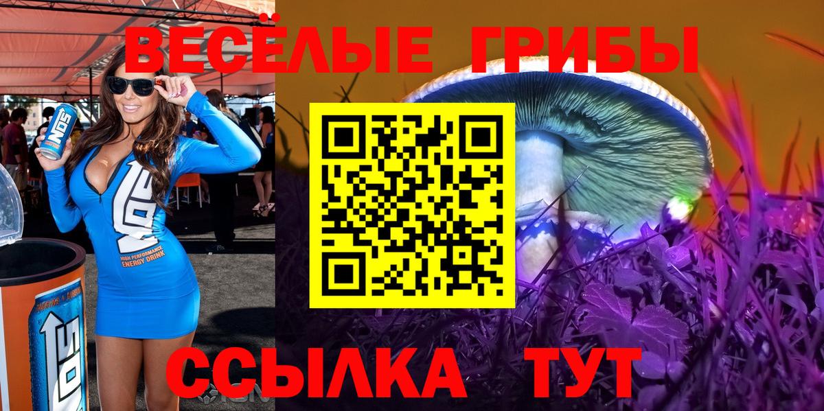 Псилоцибиновые грибы мицелий  Вход с VPN  Россия  Галлюциногенные грибы прущие грибы 