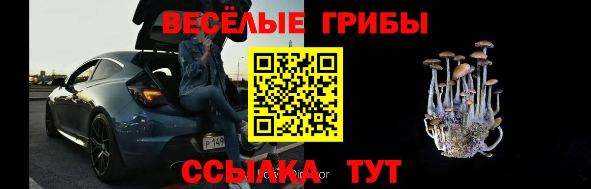 Галлюциногенные грибы мухоморы Россия